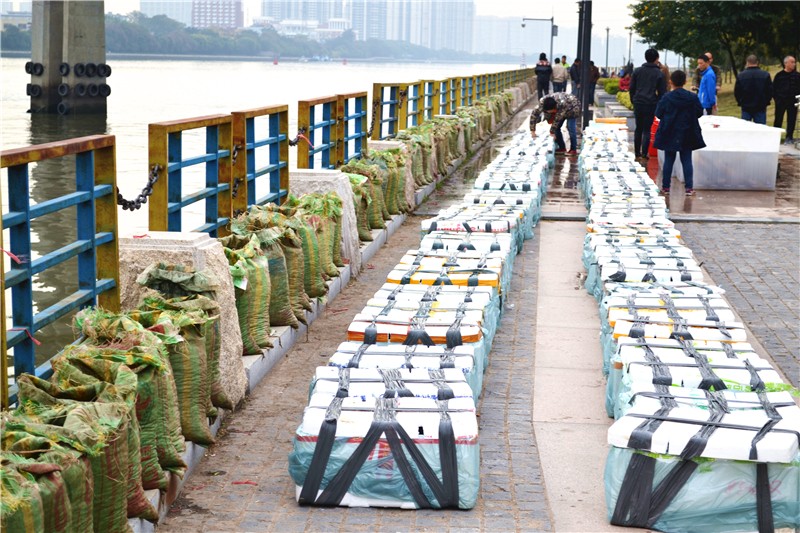 12月18日廣州百萬生命放生活動圖片紀實，請進來隨喜和回向