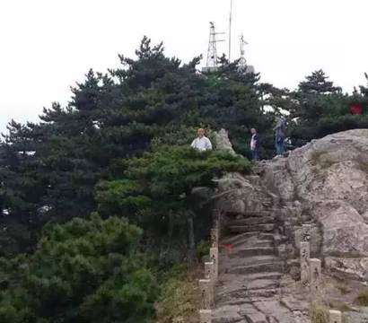 九華山高僧在松樹頂上凌空打坐網友驚嘆
