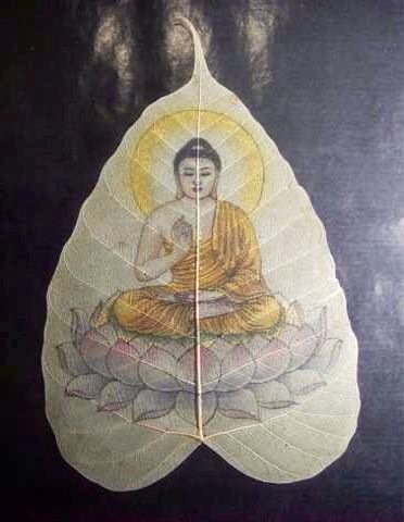 嘎瑪仁波切：佛陀成道處之神聖菩提樹