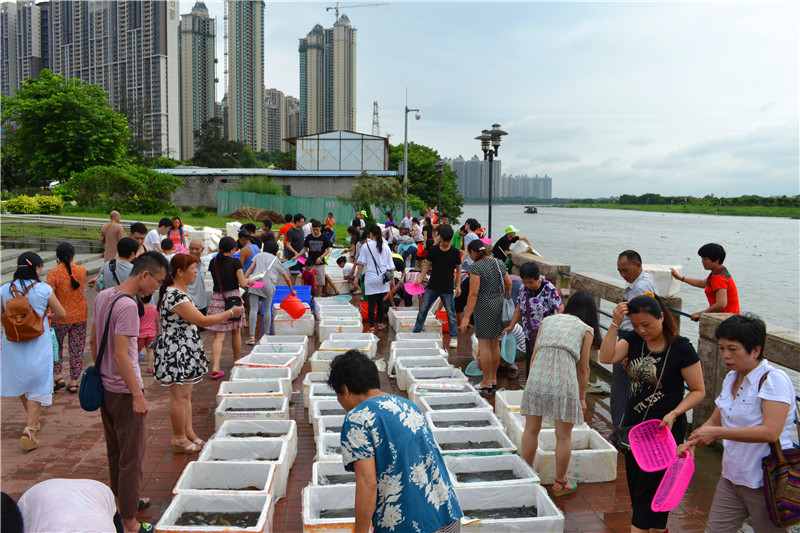 7月10號廣州百萬生命放生活動圖片紀實，請進來隨喜和回向