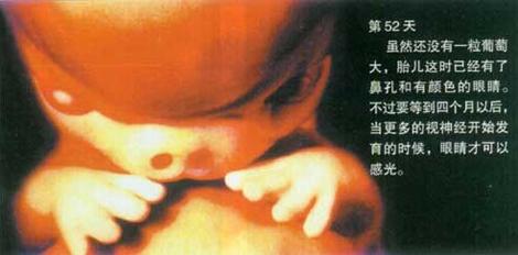 胎兒子宮裡的情形和《佛說入胎經》驚人一致！