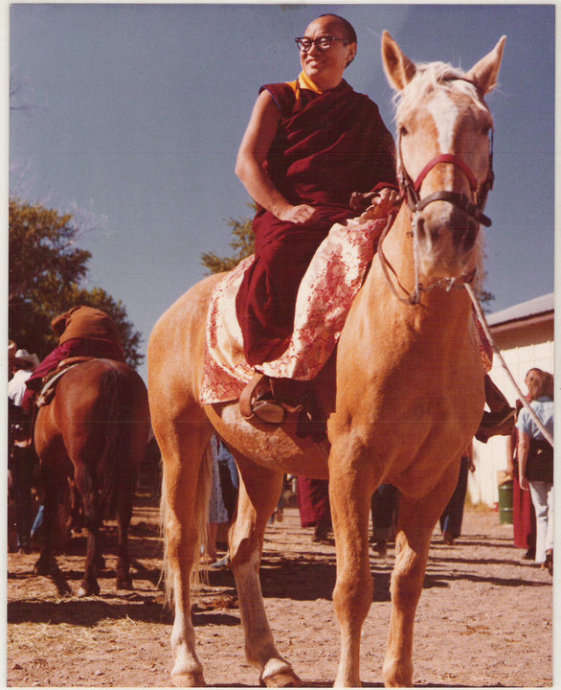 第十六世噶瑪巴的故事：一匹會加持信眾的馬！