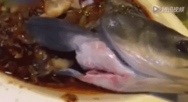 視頻：小龍蝦作揖請求放它一命！