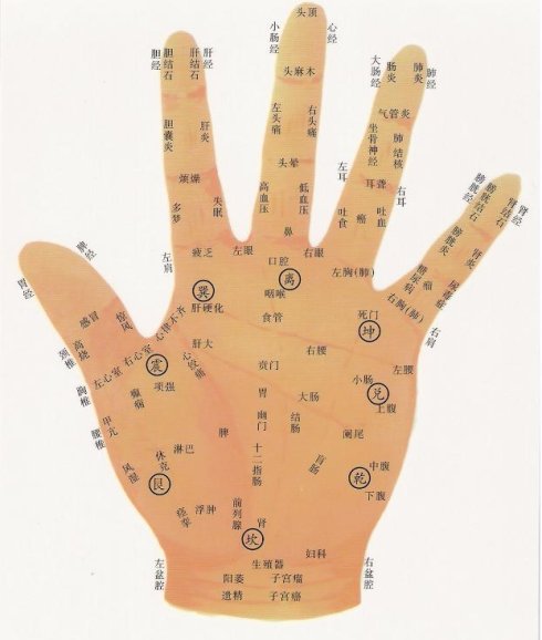 手的驚人秘密——掌心的八卦圖