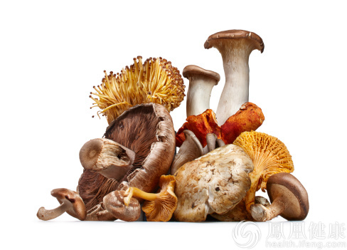 蘑菇五大養生功效這麼吃最好