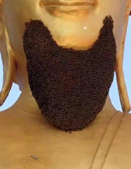 蜜蜂在泰國一座寺廟佛像下巴築巢似「鬍子」
