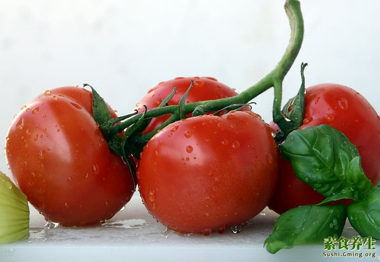 西紅柿的營養價值