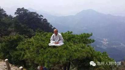 九華山高僧在松樹頂上凌空打坐網友驚嘆