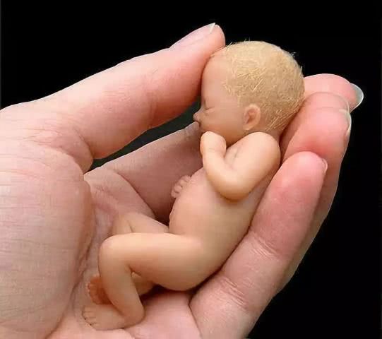 墮胎果報深重，超度墮胎嬰靈懺悔是關鍵！