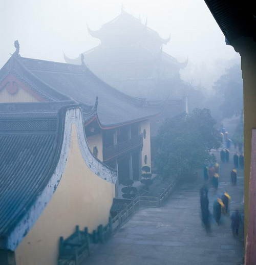 心靈深處的菩提樹，誰是你的有緣人