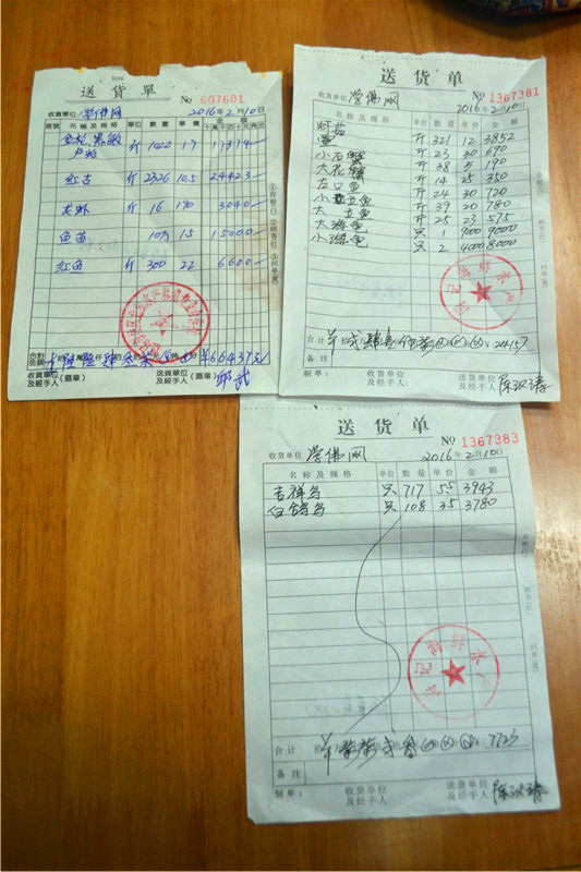 學佛網2月10日汕尾海鮮大放生圖片紀實，請進來隨喜和回向