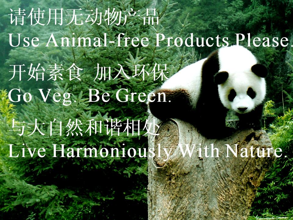 美麗的動物世界(超美組圖欣賞)