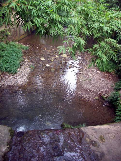 峨眉山擷影之一：報國寺和伏虎寺