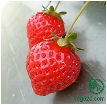 你有下面這些易引發癌症的生活習慣嗎？
