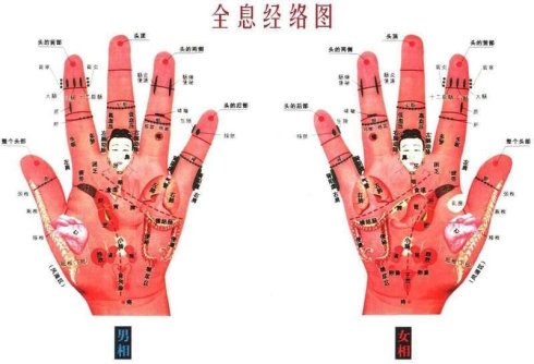 手的驚人秘密——掌心的八卦圖