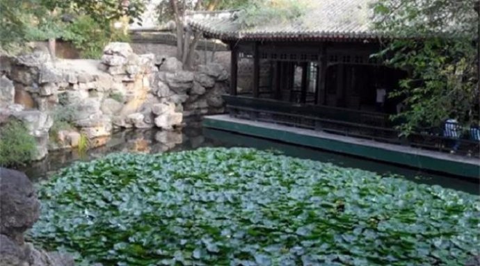 獨尊湛現：父母的養育之恩永生難報，天經地義