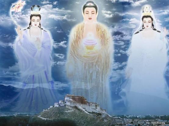 淨界法師：看看高僧如何運用佛法救人
