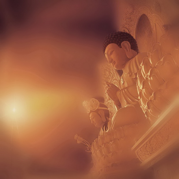 心靈深處的菩提樹，誰是你的有緣人