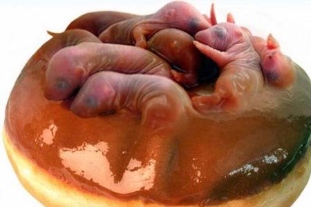 盤點最殘忍的十二大菜餚 盤點最殘忍的十二大菜餚