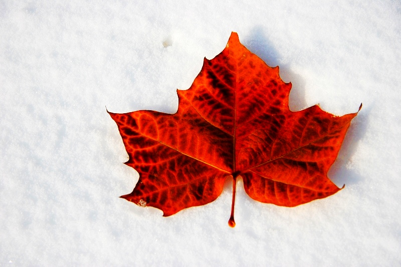 隨喜是什麼？為什麼要隨喜？