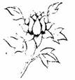 清淨法師：準提法入門
