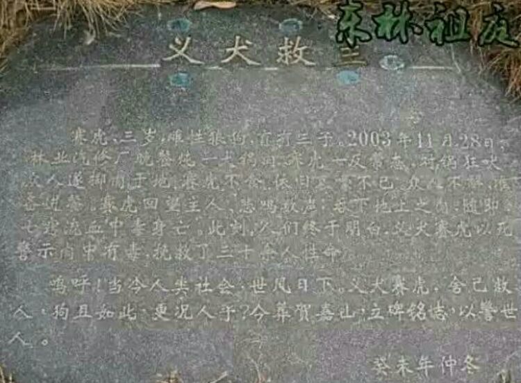 一條捨己救人的狗狗，百人冒雨為狗送葬，場面隆重