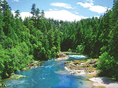 肉食工業 人類與地球健康惡化的主因