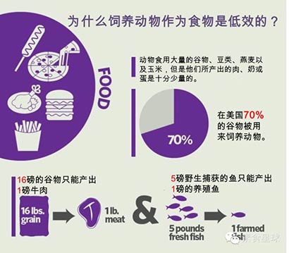 觸目驚心9組數據告訴你飲食與環保的關係