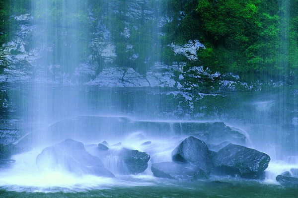 達摩難陀法師：抑制怒氣