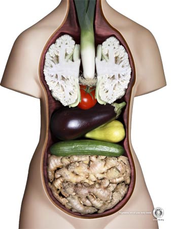 400名素食者長期調查跟蹤 全無現代病