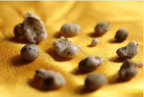 百年高僧之:紫竹林中觀自在的常明老和尚 百年高僧之:紫竹林中觀自在的常明老和尚