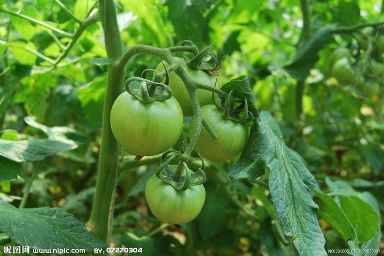 小心致命：超市這些食物絕對不能買