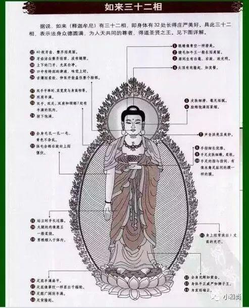 圖文佛陀的三十二相八十隨形好，我們如何才能修得三十二相功德？