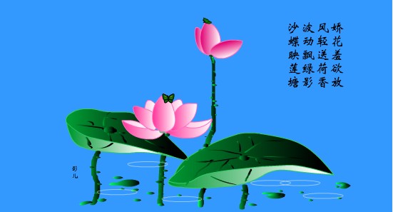 一花開五葉的含義