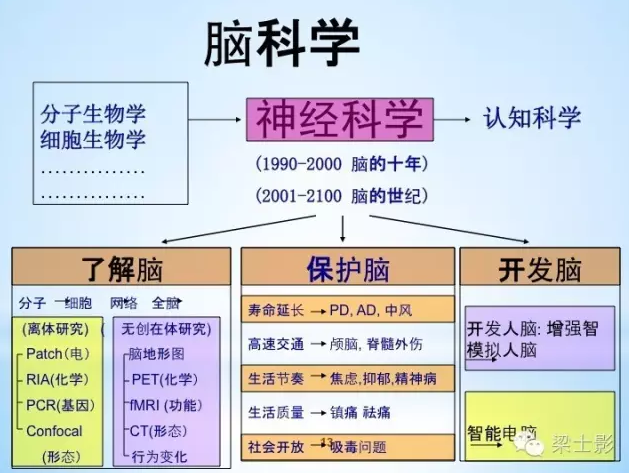 佛教禪修可以改變一個人的大腦