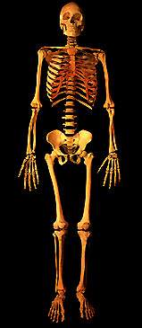 白骨觀圖文（不喜莫入）