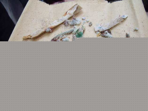 張武強居士往生記 張武強居士往生記