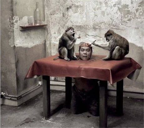 盤點最殘忍的十二大菜餚 盤點最殘忍的十二大菜餚