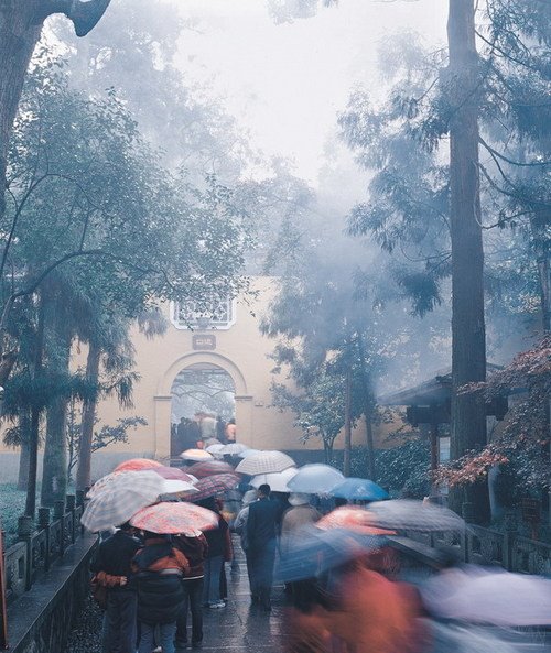 心靈深處的菩提樹，誰是你的有緣人