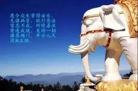 因果從不會虧待你，台灣第一尊肉身菩薩的故事