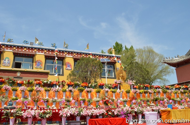 妙吉寺：妙吉寺第四屆十萬束鮮花供佛法會盛況