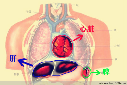 脾衰比腎虛更可怕