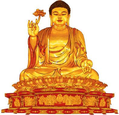 32相80種好
