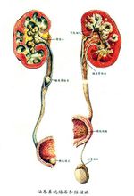 什麼是五穀雜糧？