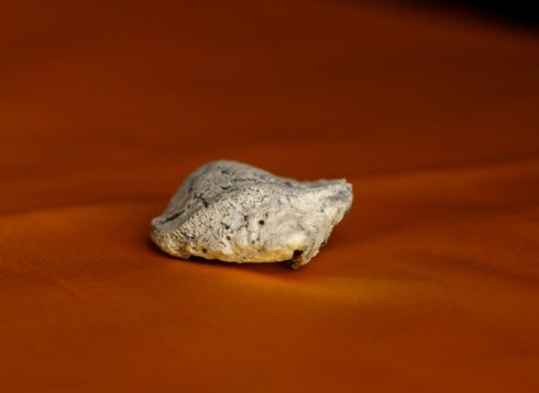 百年高僧之:紫竹林中觀自在的常明老和尚 百年高僧之:紫竹林中觀自在的常明老和尚