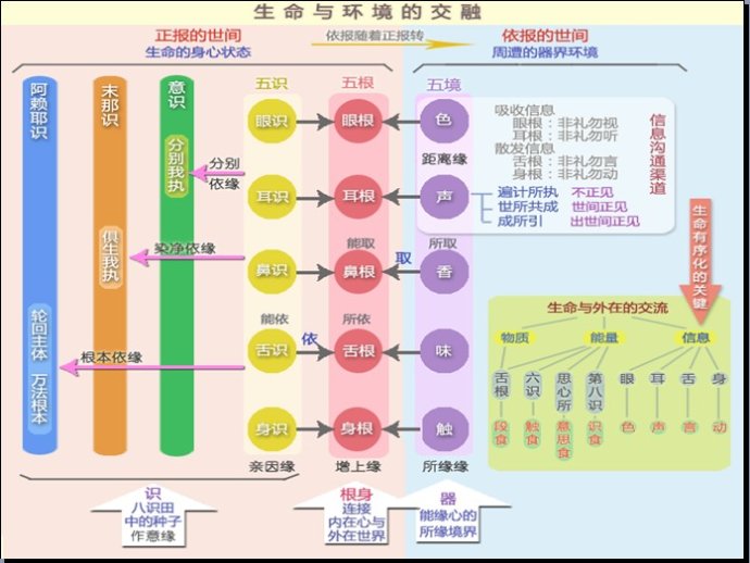圖解佛教基礎知識:五蘊 - 念覺學佛網
