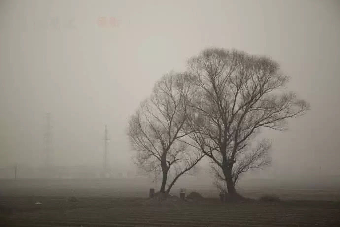 有多少人身處險境而不自知，讓佛陀告訴你人生的真相