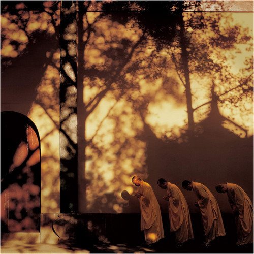 心靈深處的菩提樹，誰是你的有緣人