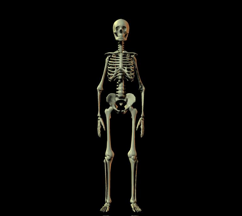 白骨觀圖文（不喜莫入）