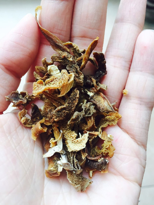不可小覷的香濃！素食界高湯之「蘿」素湯
